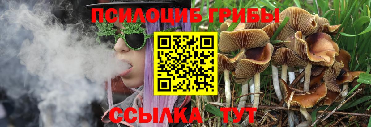 Псилоцибиновые грибы мухоморы Белорецк