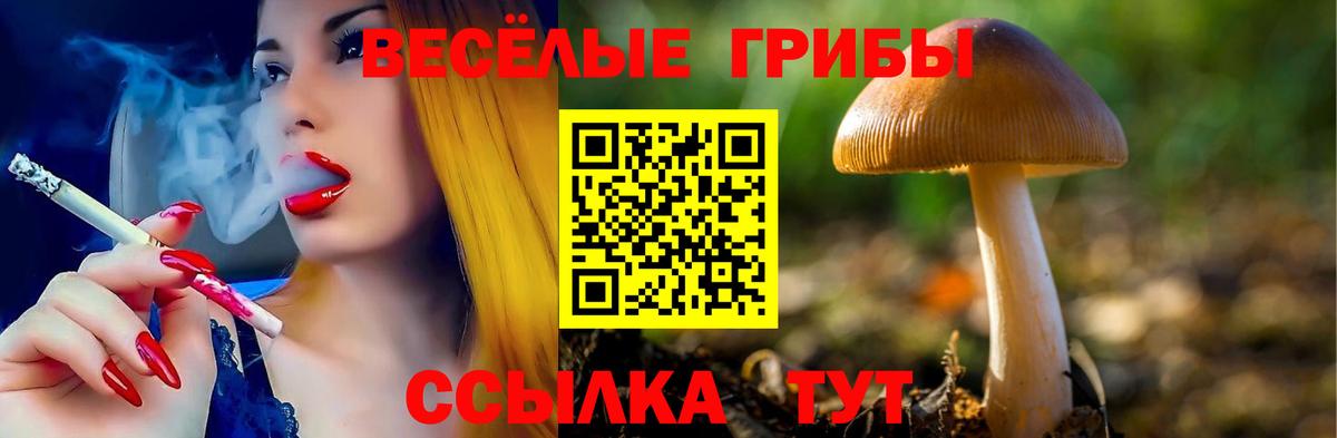 Белорецк  Галлюциногенные грибы Magic Shrooms  Вход с VPN 